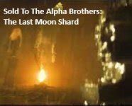 It was a heavy round shield forged from dull, lusterless, dark steel. . Sold to the alpha brothers the last moon shard chapter 6